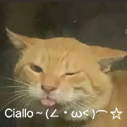 我应该多拍些照片