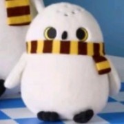 爱喝可口可乐66