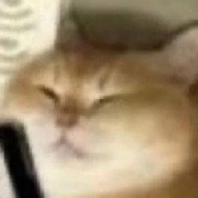 戎商