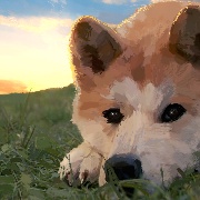 狗籽QwQ