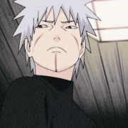 揽清风独木木
