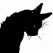 只会干拉的Akira