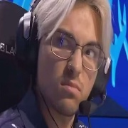 从不失眠的熊