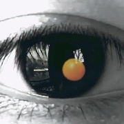 黑色柳丁QTQ