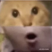爱吃大变