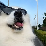 Lreonz