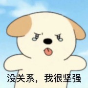 一个小狗