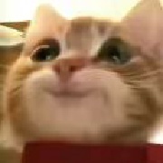 这就是你带的兵