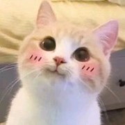 伙家坏是不帮丛丛