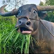 给我一下子试试