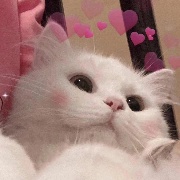 武汉科技大学校花