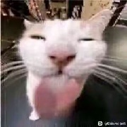 守赢政的很爽啊