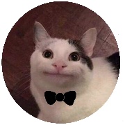 魔怔鱼