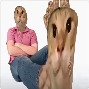 带派大哈脚