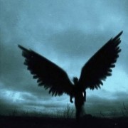 少年喜欢韵味少妇