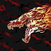 这次我也同意