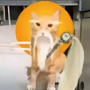 哈气高