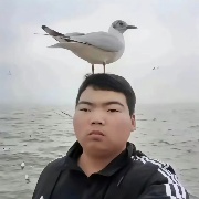 叙利亚投奋手