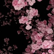 对抗法师刘海柱