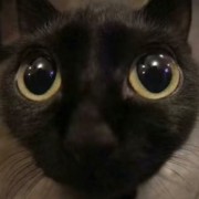 范闲qq
