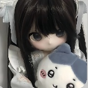 一只河南入