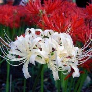 雨的声音很清晰