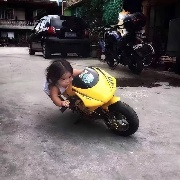 山茶花没有花期