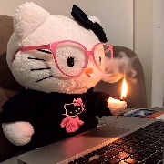 城市精英---Kitty喵