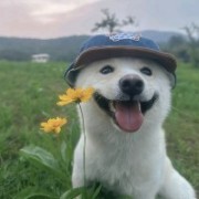 W1nfer_Casper