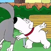 爱拔萝卜的布莱恩