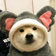 老实帅气又腼腆