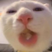我才是nikonikoni