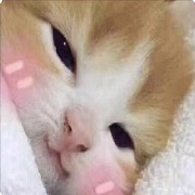 向玉隐