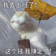 花❤开❤贵❤妇