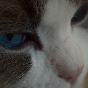 我八年没谈过恋爱