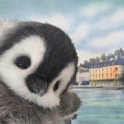 小企鹅猛烈冲锋