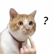 月光在斑驳