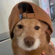 张家界第一深情ber