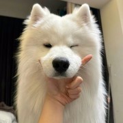 于是开始少说多做