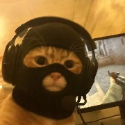 讽oj