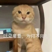哈基汪大狗叫