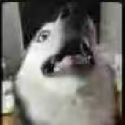 SpiralWO0oF