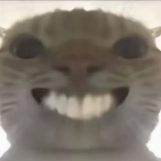 虾仁饭是高起墙啊