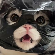 干拉干拉只会干拉