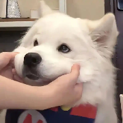 放我去吧