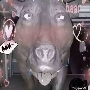碎碎念hh