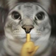 波风晚星