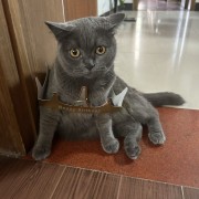 颓废人生