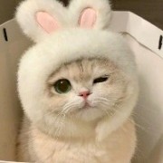 你很能突啊