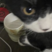 Mooqyk1ng